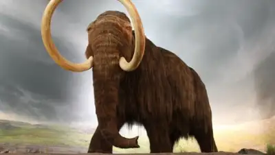 Zakon.kz, фото - Новости Zakon.kz от 08.10.2015 15:46