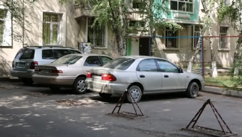 Алматы аулаларында&#1171;ы за&#1187;сыз к&#1257;лікжайлар с&#1199;ріледі   