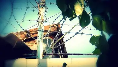 Zakon.kz, фото - Новости Zakon.kz от 16.06.2016 23:23