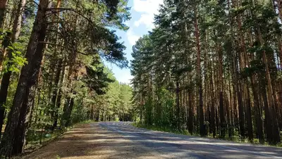 туризм развитие Акмолинская область, фото - Новости Zakon.kz от 26.07.2022 15:19