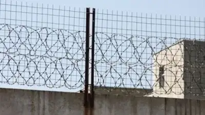 Zakon.kz, фото - Новости Zakon.kz от 15.11.2013 17:26