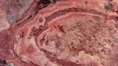 Zakon.kz, фото - Новости Zakon.kz от 14.08.2015 06:56