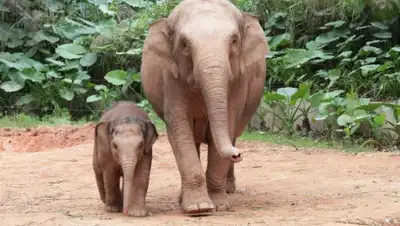 Zakon.kz, фото - Новости Zakon.kz от 13.02.2016 19:53