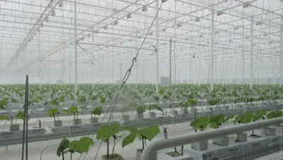 Zakon.kz, фото - Новости Zakon.kz от 04.10.2017 16:49