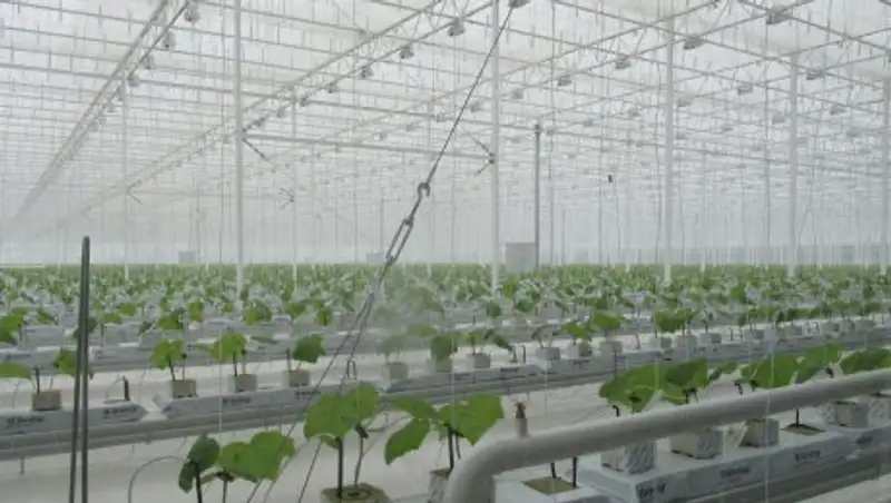 Назарбаев посетил в Актобе тепличный комплекс