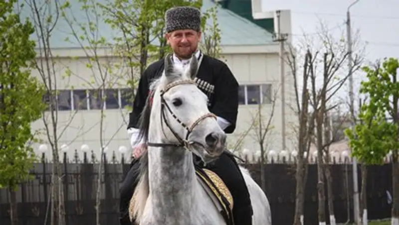 Кадыров ждет от Запада извинений за оскорбление его лошадей