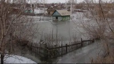 Zakon.kz, фото - Новости Zakon.kz от 02.04.2015 01:12