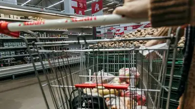 Овощи продавали дороже в крупных магазинах ЗКО из-за посредника, фото - Новости Zakon.kz от 14.03.2023 09:28