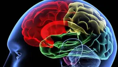 Zakon.kz, фото - Новости Zakon.kz от 15.04.2015 15:40