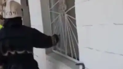 Кадр из видео, фото - Новости Zakon.kz от 24.06.2020 21:03