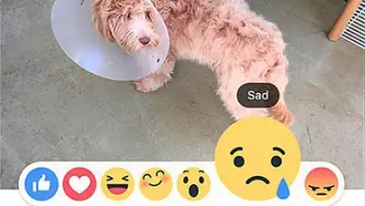 Zakon.kz, фото - Новости Zakon.kz от 09.10.2015 04:34