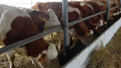 Zakon.kz, фото - Новости Zakon.kz от 20.05.2016 16:20