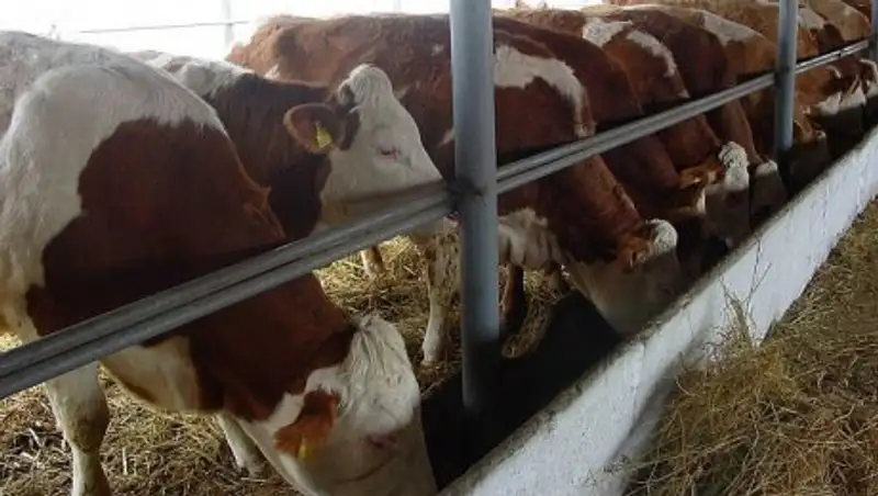 В Актюбинской области сельчане почувствовали реальную поддержку государства