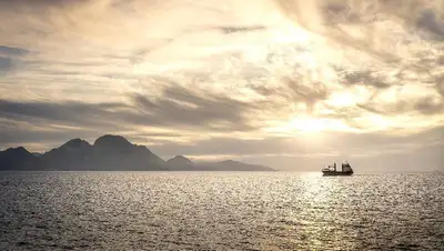 уроженка Казахстан пролив спорт США, фото - Новости Zakon.kz от 09.08.2022 11:48