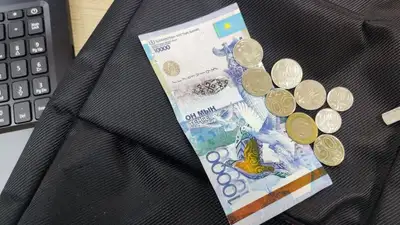 АЭС в Казахстане: сколько средств может потребоваться на проведение референдума, фото - Новости Zakon.kz от 06.09.2023 11:37