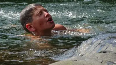 Pixabay, фото - Новости Zakon.kz от 14.08.2019 06:16