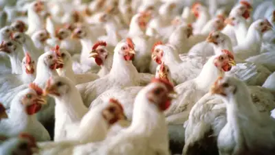 Zakon.kz, фото - Новости Zakon.kz от 28.08.2015 22:23