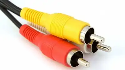 Pixabay, фото - Новости Zakon.kz от 28.12.2019 14:07