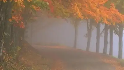 Zakon.kz, фото - Новости Zakon.kz от 05.11.2014 14:45