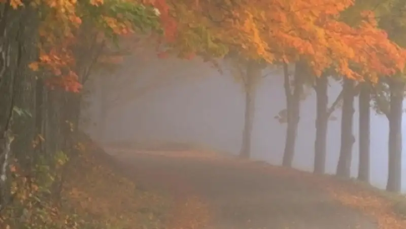 Непогода сохранится сегодня в большинстве регионов страны