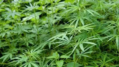 storage, фото - Новости Zakon.kz от 23.05.2020 13:14