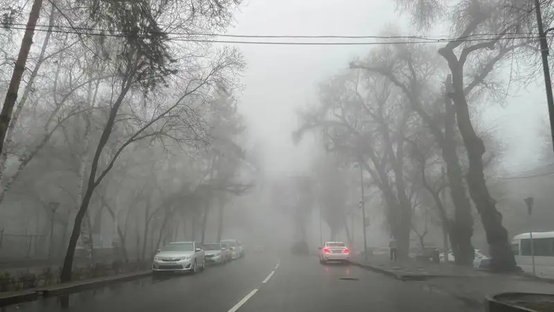 , фото - Новости Zakon.kz от 16.03.2023 09:47