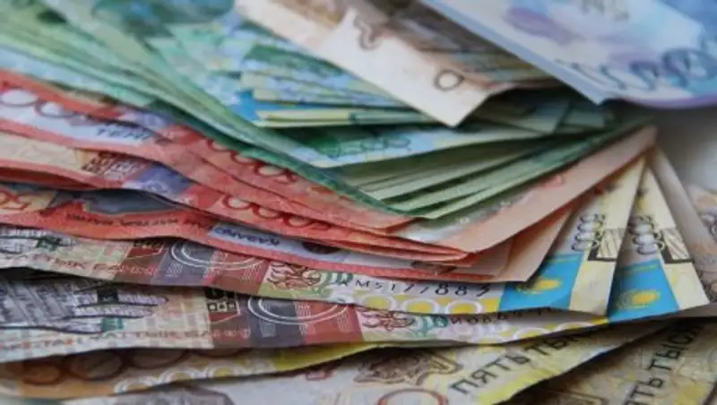 Депутат потребовала от правительства отчета по использованию денег ЕНПФ