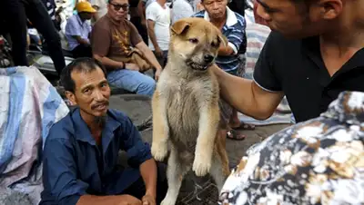 Zakon.kz, фото - Новости Zakon.kz от 15.03.2016 17:25
