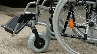 pixabay.com, фото - Новости Zakon.kz от 18.02.2021 23:04