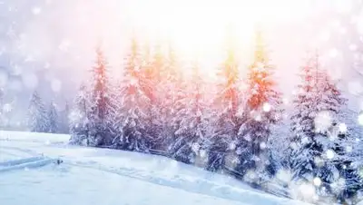 grouple.co, фото - Новости Zakon.kz от 10.01.2021 11:58