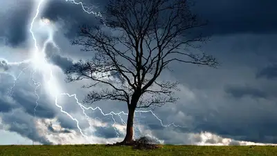 молния, фото - Новости Zakon.kz от 24.05.2022 18:07