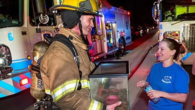 Техасские пожарные спасли из огня лягушку