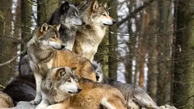 Zakon.kz, фото - Новости Zakon.kz от 29.06.2016 19:58