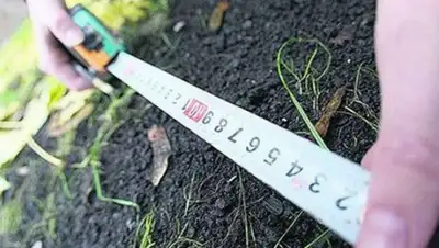 Total.kz, фото - Новости Zakon.kz от 31.10.2018 16:47