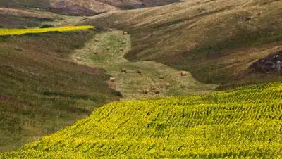 primeminister.kz, фото - Новости Zakon.kz от 01.10.2021 10:16