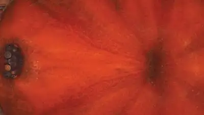 Zakon.kz, фото - Новости Zakon.kz от 21.10.2014 16:13