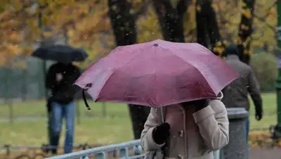 Zakon.kz, фото - Новости Zakon.kz от 03.10.2017 06:00