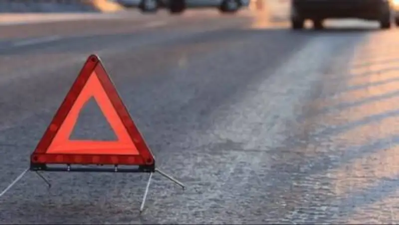 Жуткое ДТП с лошадью. Погибли три человека