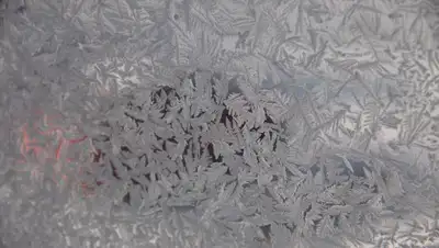 drive2, фото - Новости Zakon.kz от 31.01.2020 09:51