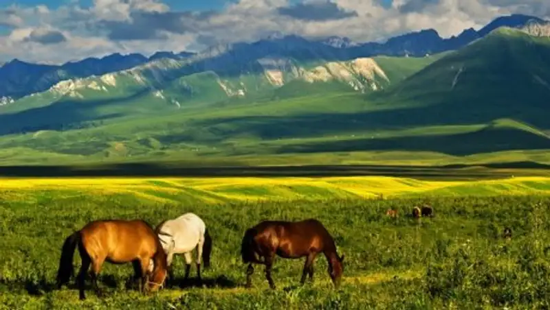 Назарбаев подписал поправки по вопросам растительного и животного мира