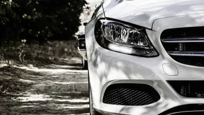 pixabay.com, фото - Новости Zakon.kz от 11.05.2019 11:41