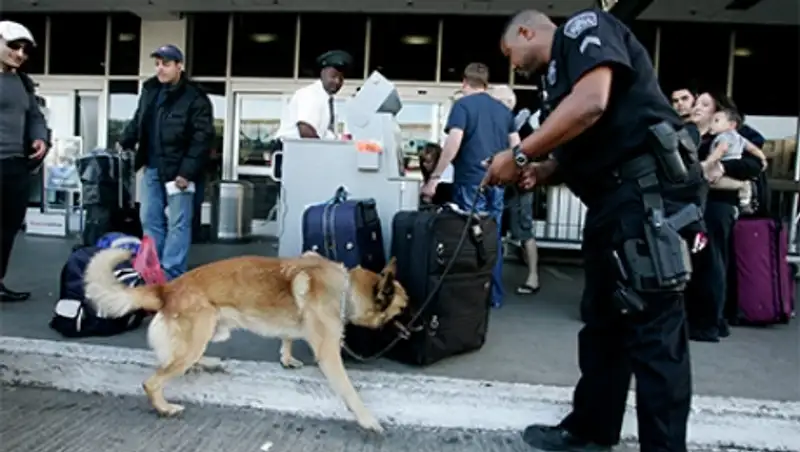 В США младенца записали в террористы