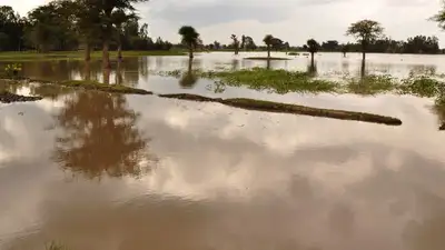 Тропический циклон "Ченесо" привел к трагедии на Мадагаскаре, фото - Новости Zakon.kz от 29.01.2023 23:12