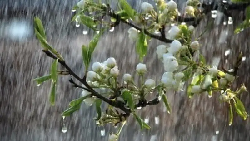 Дождливая погода сохранится в Казахстане в субботу