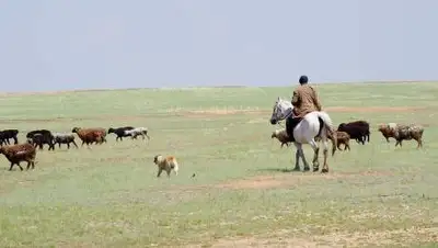 wikipedia.org, фото - Новости Zakon.kz от 28.10.2020 23:14