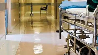 1obl, фото - Новости Zakon.kz от 14.03.2018 13:41