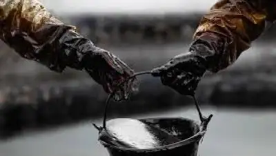 Zakon.kz, фото - Новости Zakon.kz от 21.09.2015 23:26