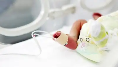 Zakon.kz, фото - Новости Zakon.kz от 04.07.2017 19:59