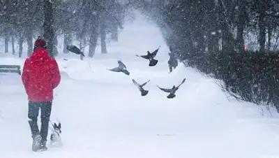 edinstvo-news.ru, фото - Новости Zakon.kz от 04.02.2021 16:36