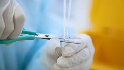 Коронавирус в Казахстане на 14 ноября, фото - Новости Zakon.kz от 14.11.2022 08:13